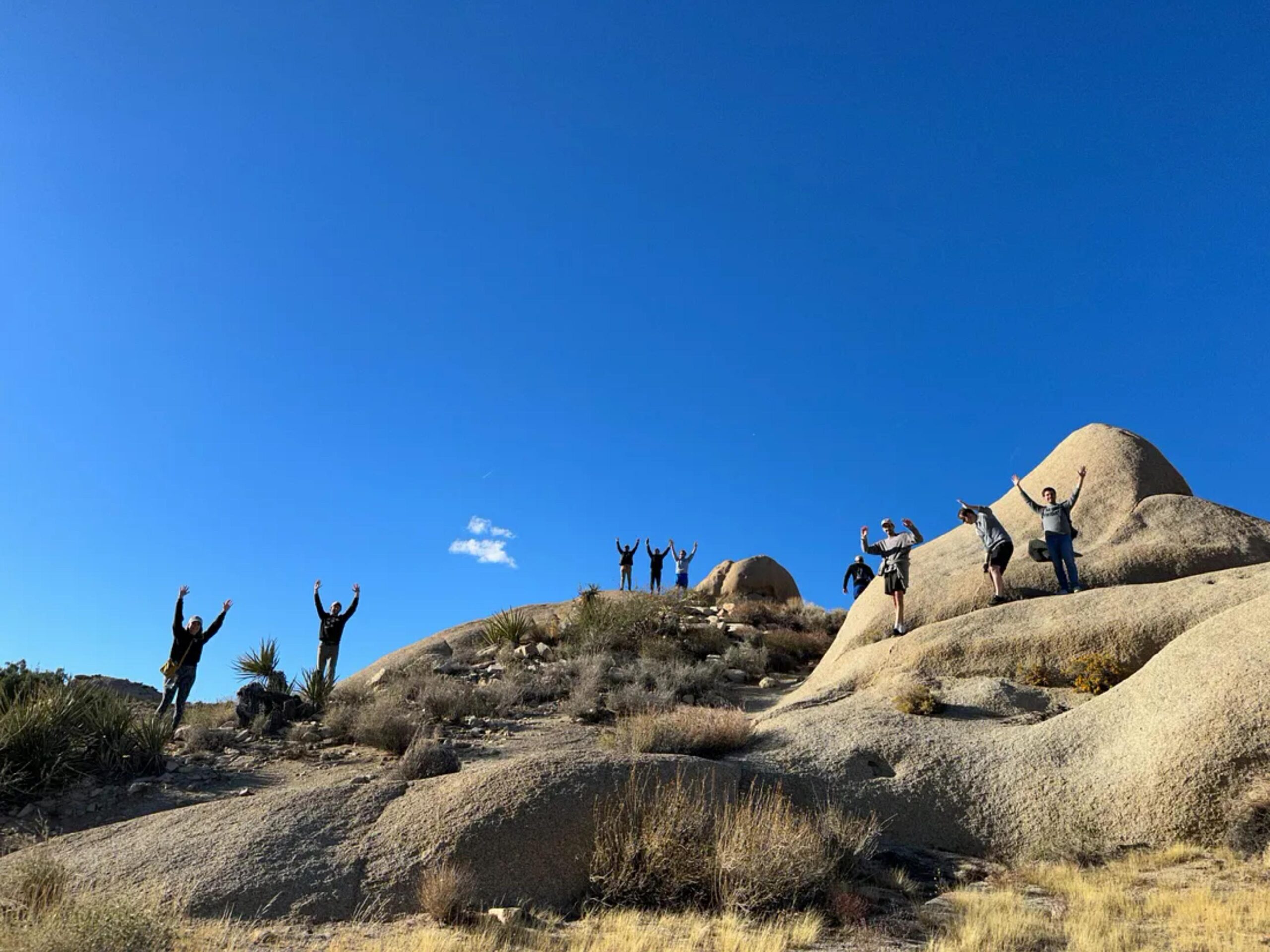This was us “posing like a Joshua Tree” 🤷♀️