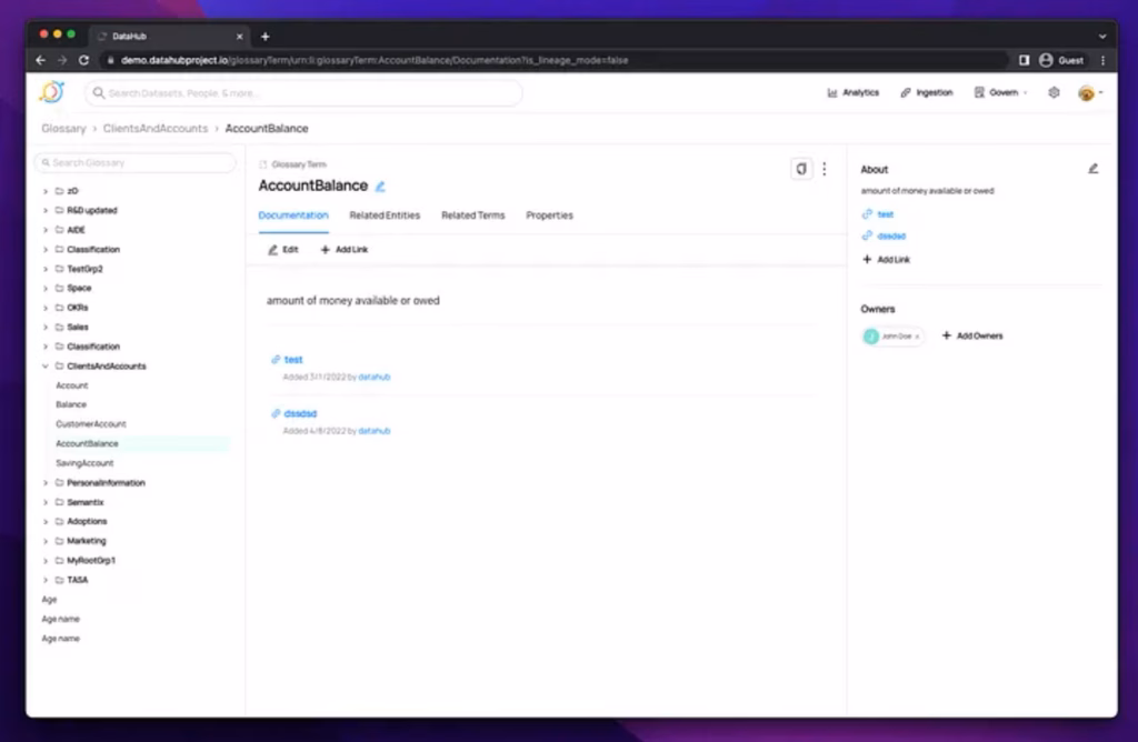 Glossary Term, “AccountBalance” detailing documentation, directory hierarchy, about section, and owners