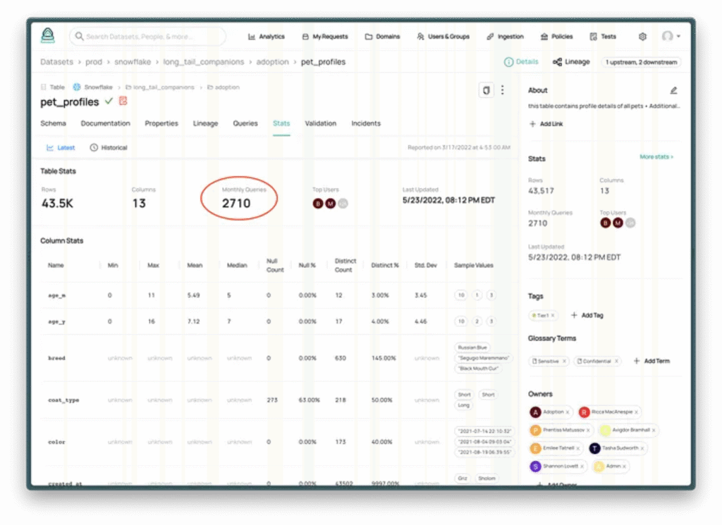 Get insight into salient dataset usage statistics