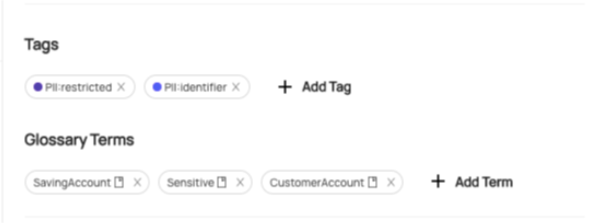 Datahub Tags and Glossary Terms