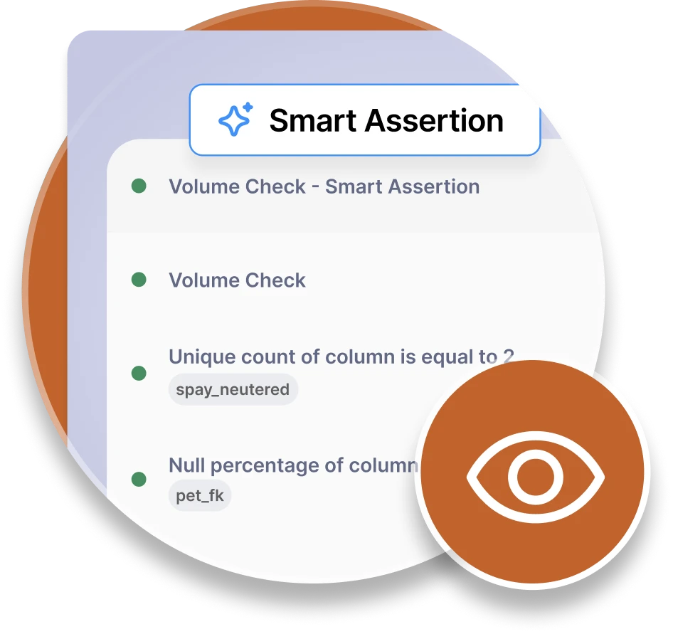Illustration of a smart data assertion interface with visibility icon, representing automated checks and data observability.