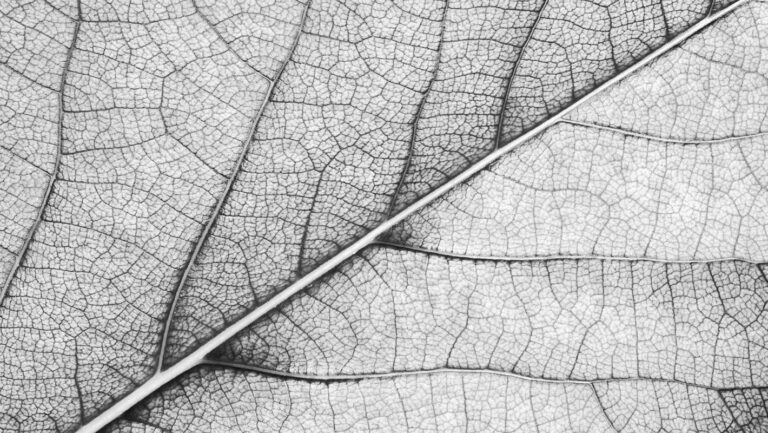 What Is Metadata? Definition, Types, and Examples for Data Teams